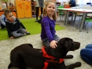 Labrador w przedszkolu